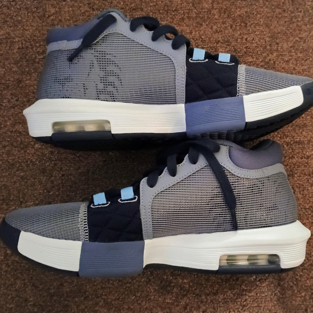 Nike LeBron sneakers